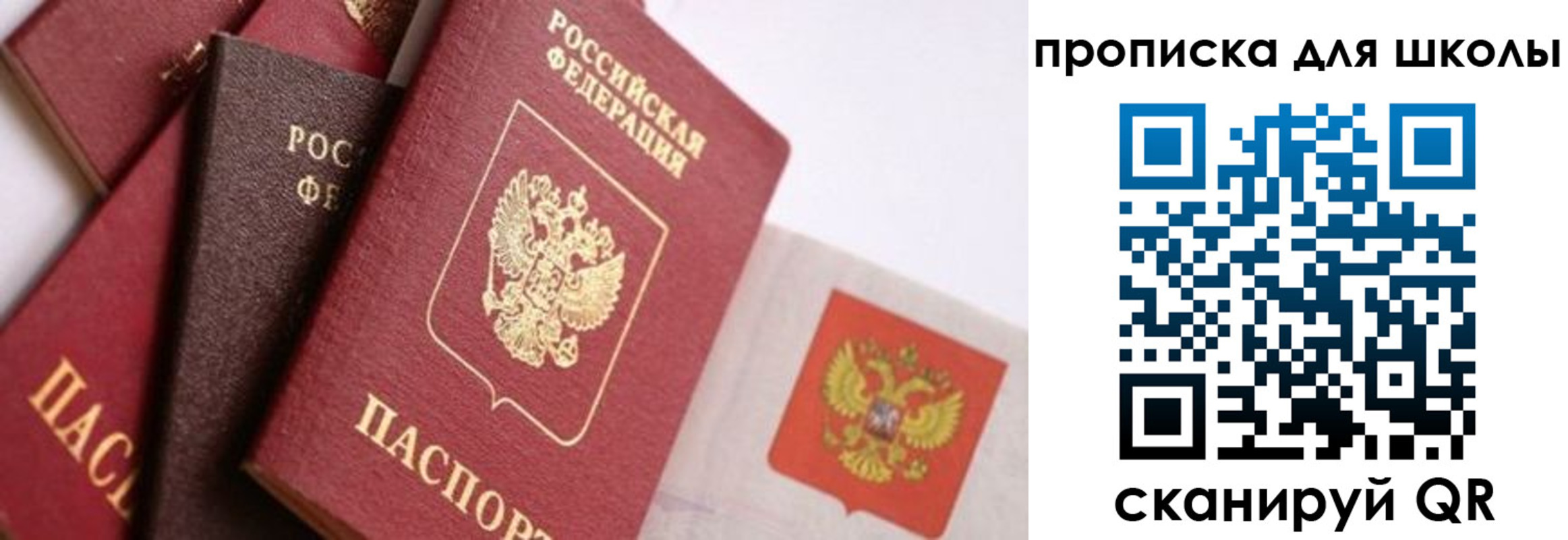 прописка поиск в Подольске